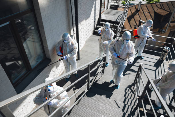 Reliable Eureka, MT Mold Removal Solutions