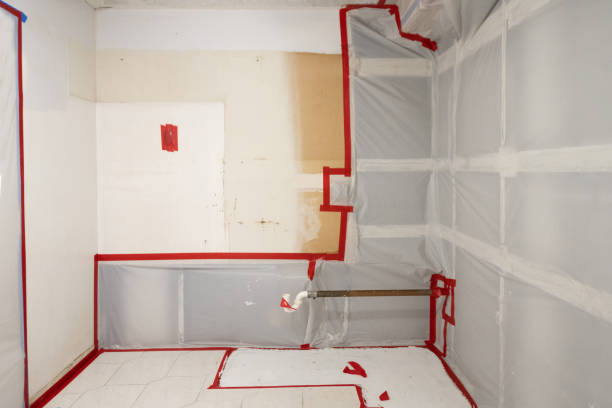 Best Dehumidification Services  in Eureka, MT