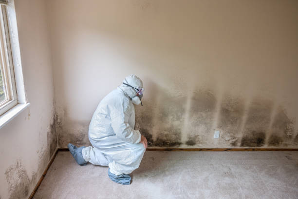 Best Mold Documentation for Insurance Claims  in Eureka, MT