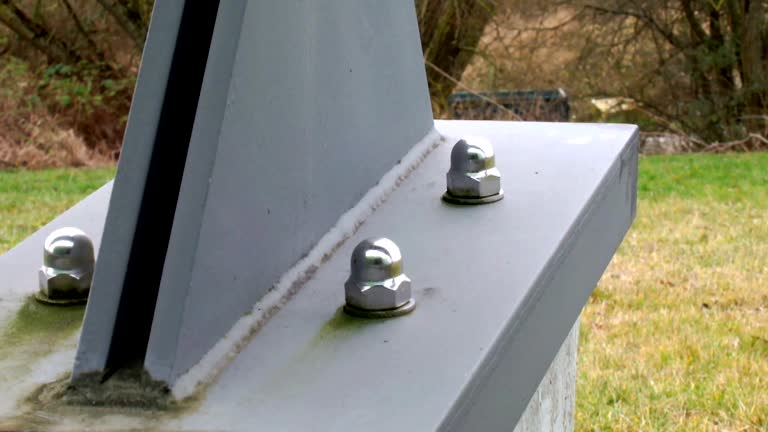 Best Biohazard Mold Removal  in Eureka, MT
